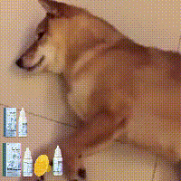 f22f0594-7d3d-4ab4-99ee-e6041fdd0007
